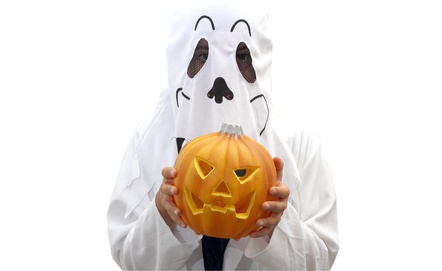 Cabinet Dealer Scariest Things