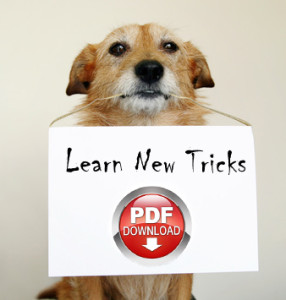 Dog with blank sign