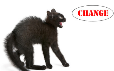Top 6 Reasons Your Team Resists Change
