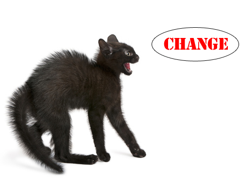 Top 6 Reasons Your Team Resists Change