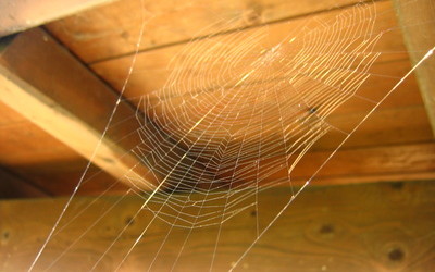 The Top 7 Reasons You Need to Climb Through Your Sales Attic
