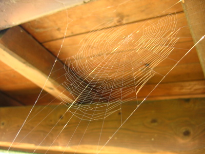 The Top 7 Reasons You Need to Climb Through Your Sales Attic